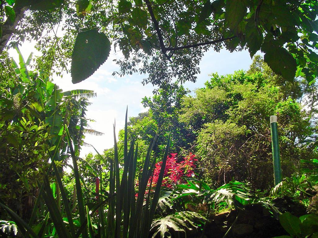 Casa Dell Angelo Apartamentos Visconde De Maua Esterno foto
