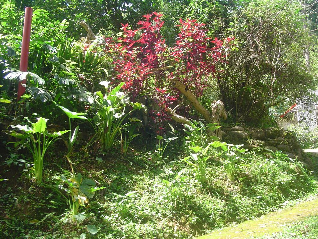 Casa Dell Angelo Apartamentos Visconde De Maua Esterno foto